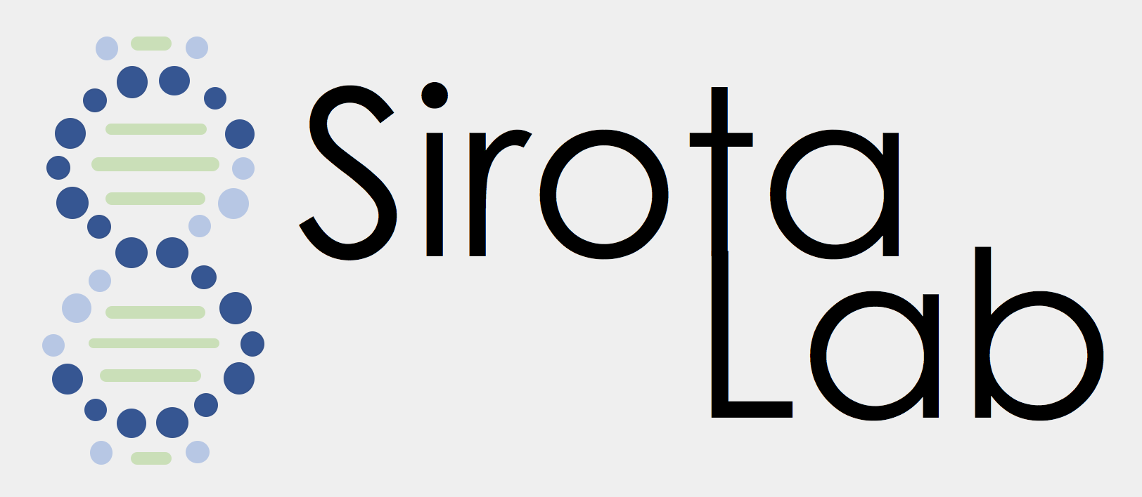 The Sirota Lab logo